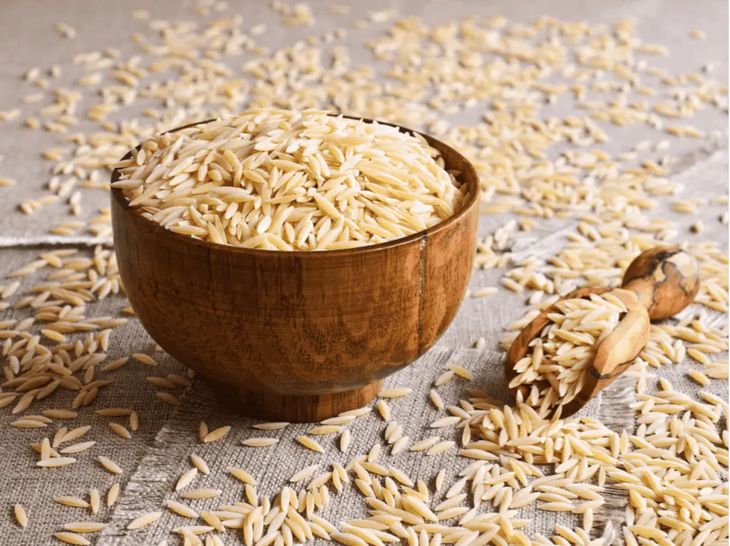 Is Orzo A Pasta?