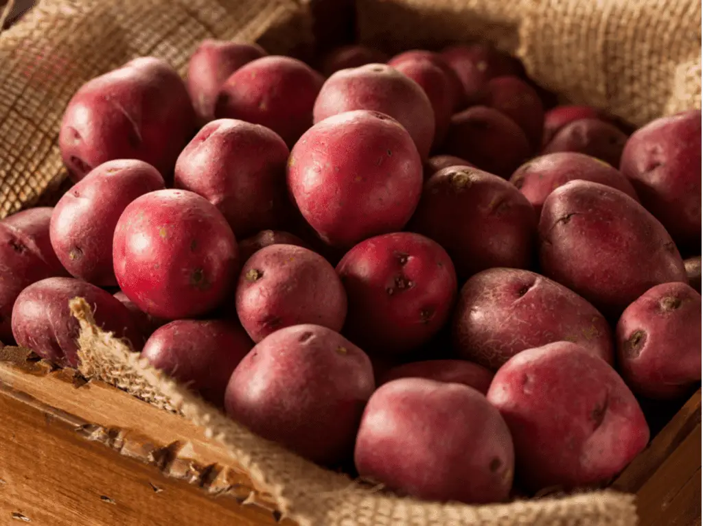 Is Red Potato Sweet?
