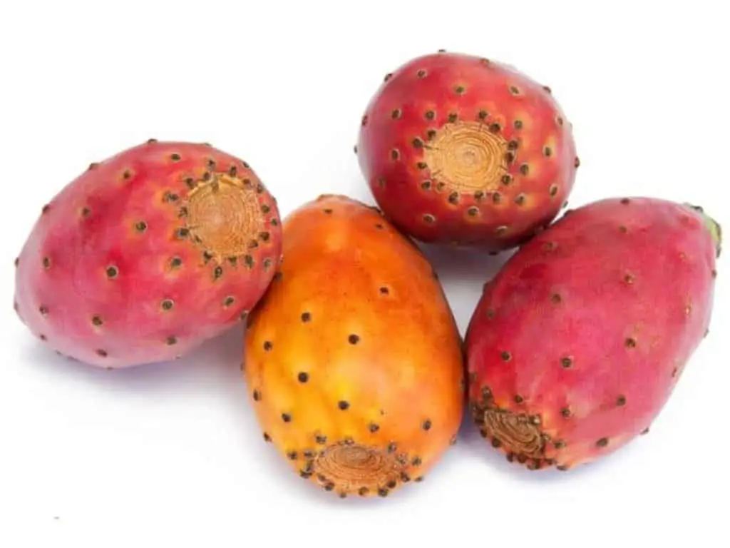 How to describe the taste of prickly pear? 