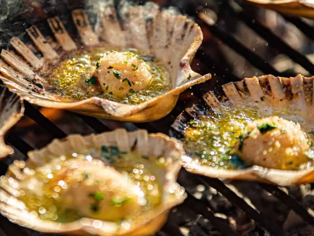 Scallops: not just for seafood lovers anymore