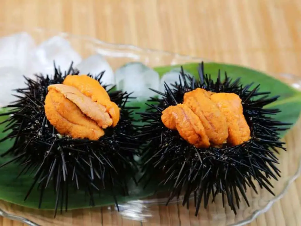 Tasting the Unusual: Sea Urchin Taste Explored