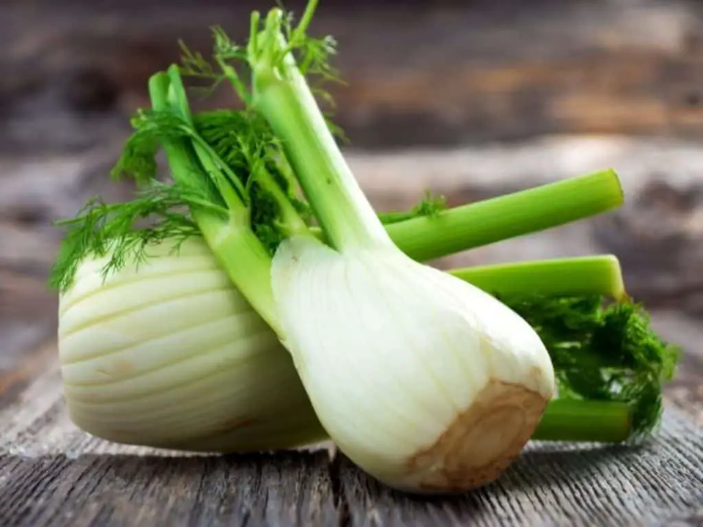What does fennel taste like?