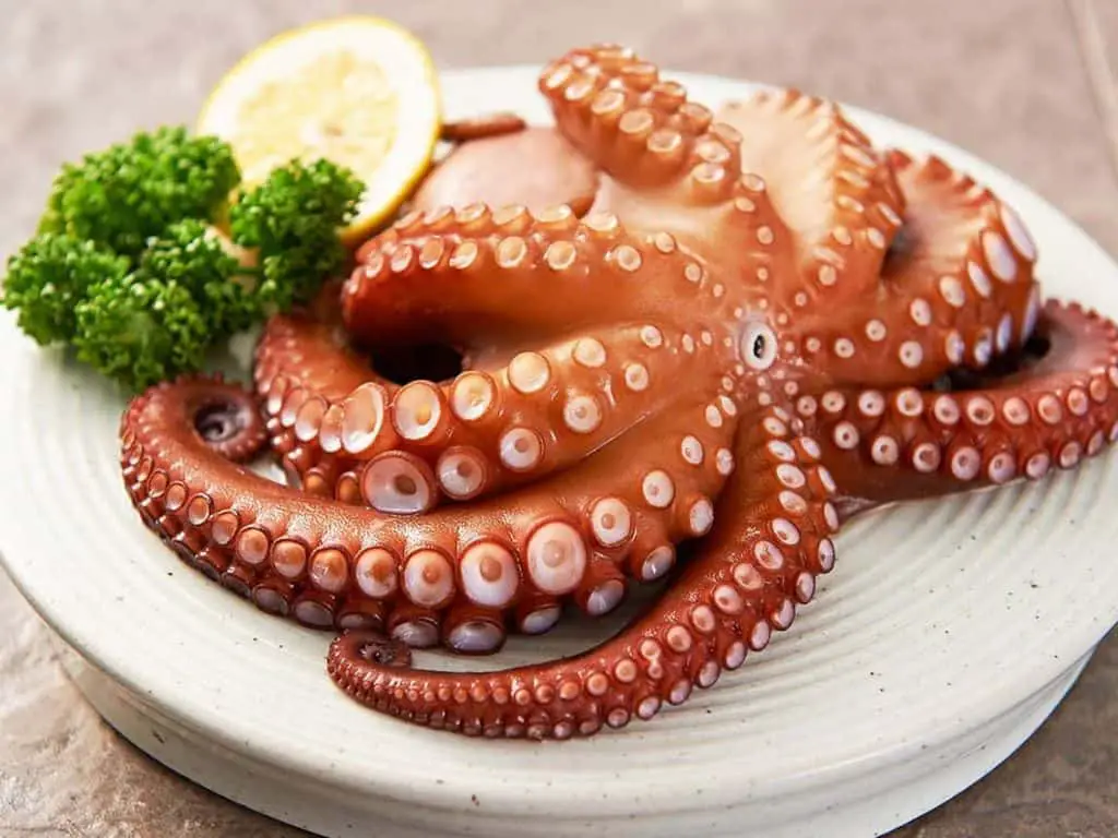 What does octopus taste like? We investigate