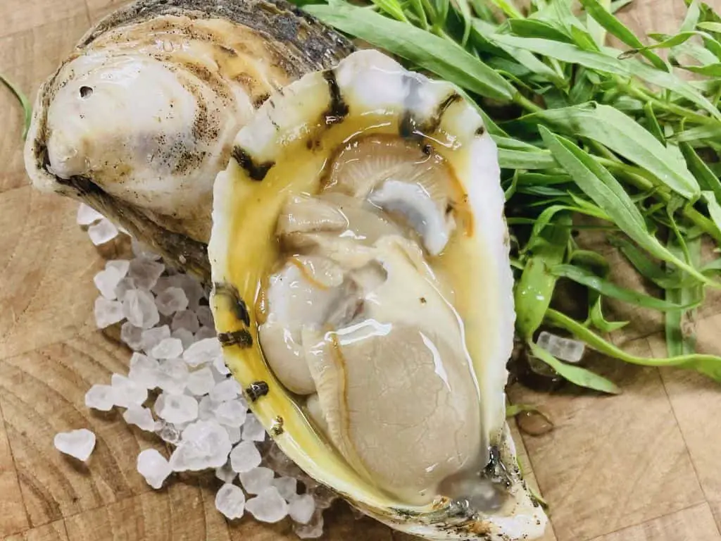 What does oyster taste like? We asked 100 people to describe it