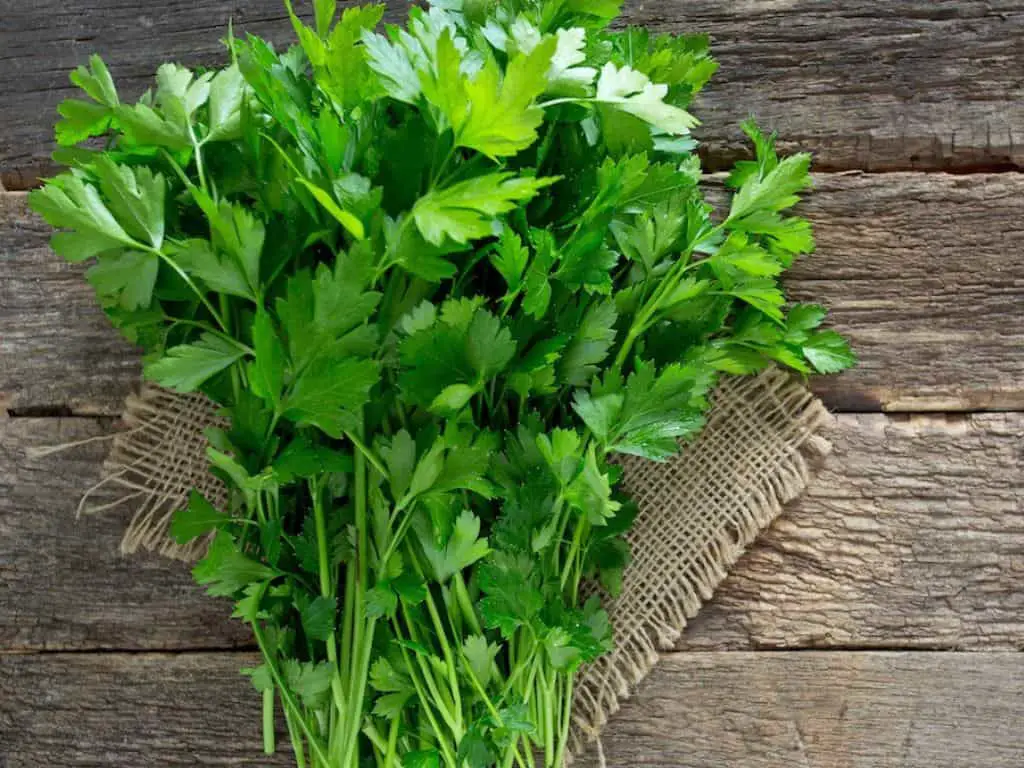 What does parsley really taste like? We asked a panel of experts