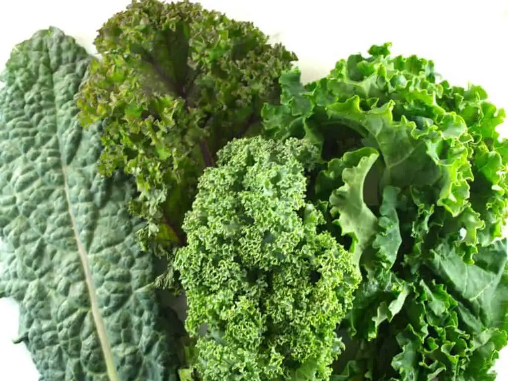 You Won't Believe What Kale Tastes Like