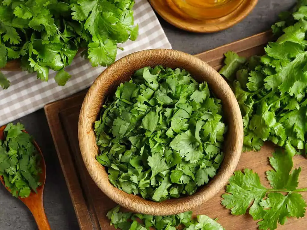 You'll Never Believe What Cilantro Tastes Like